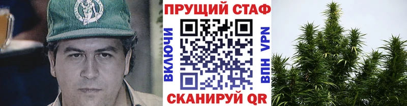 Конопля Обнинск