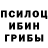 Галлюциногенные грибы Psilocybe chen_ dorama_s01