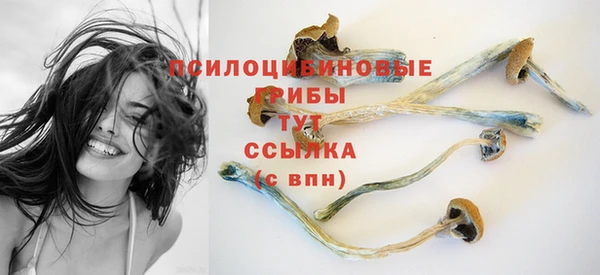 а пвп мука Нязепетровск