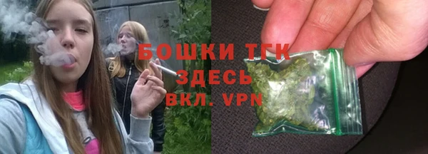 мяу мяу кристалл Няндома
