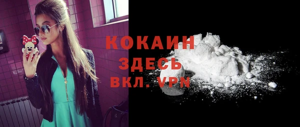 мяу мяу кристалл Няндома