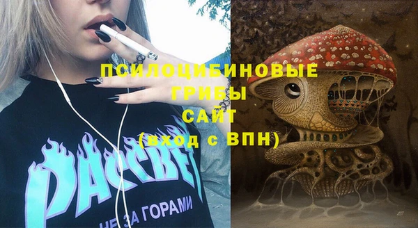 мяу мяу кристалл Няндома
