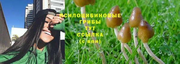 мяу мяу кристалл Няндома