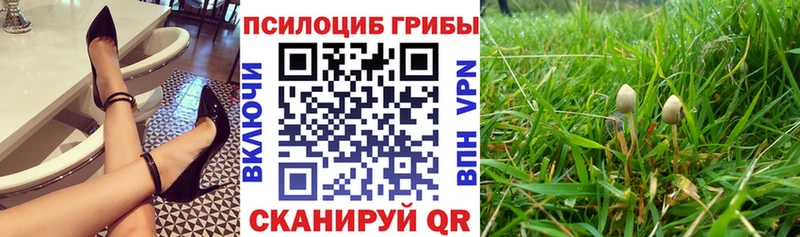 Псилоцибиновые грибы Magic Shrooms  hydra рабочий сайт  Обнинск 