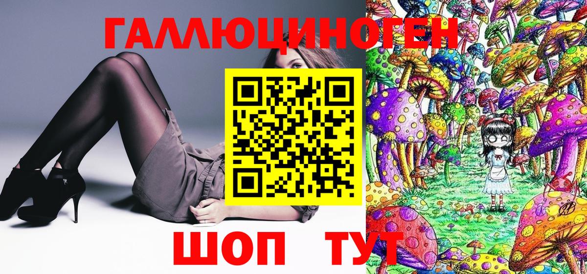 где продают наркотики  Вход с VPN  Обнинск  Псилоцибиновые грибы Psilocybe 